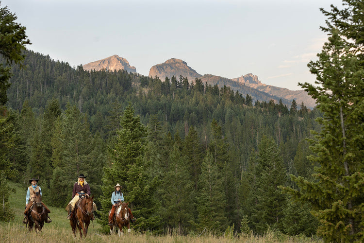 BLACKWATER CREEK LODGE & GUEST RANCH