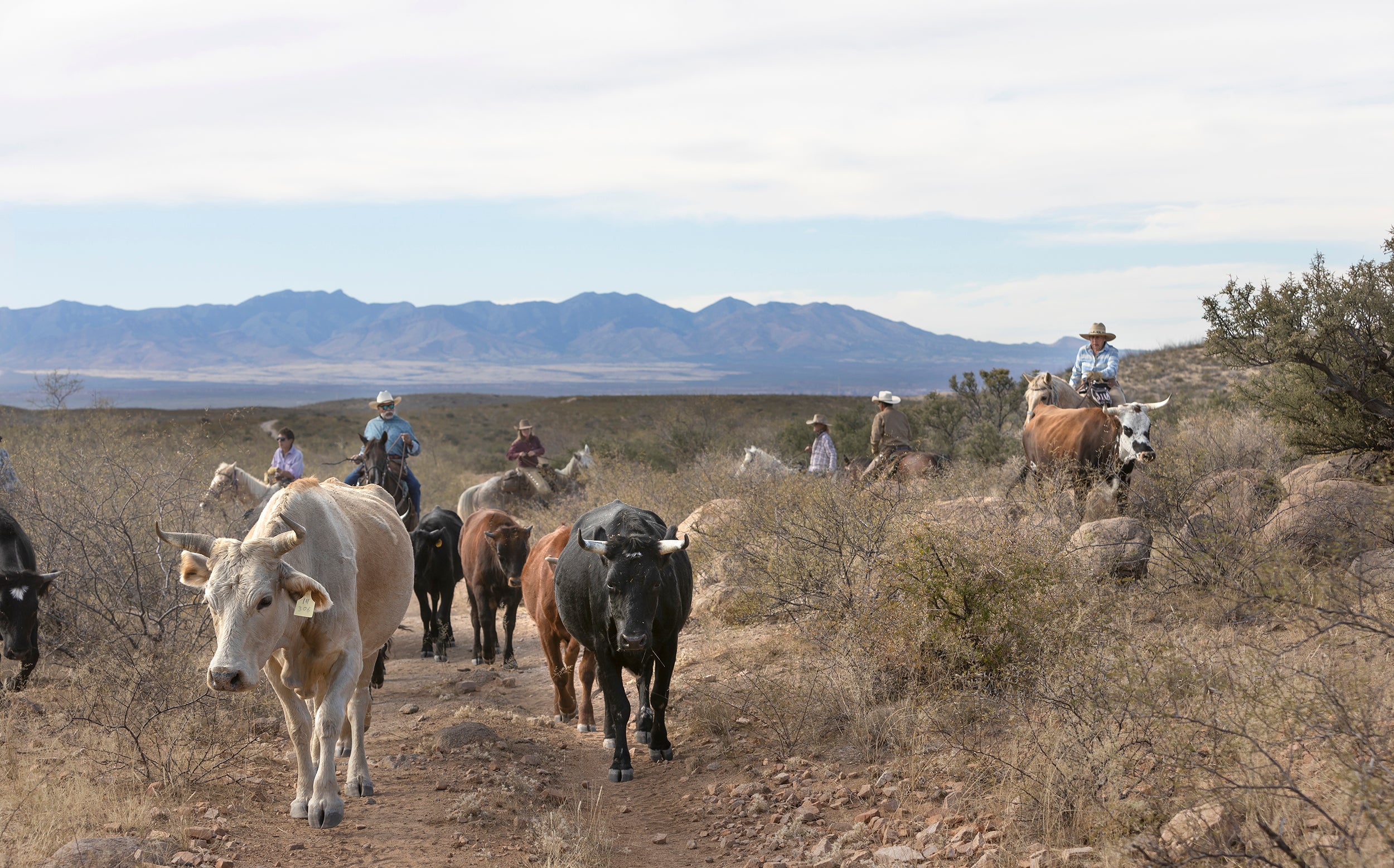 SHOP BY RANCH – True Ranch General Store
