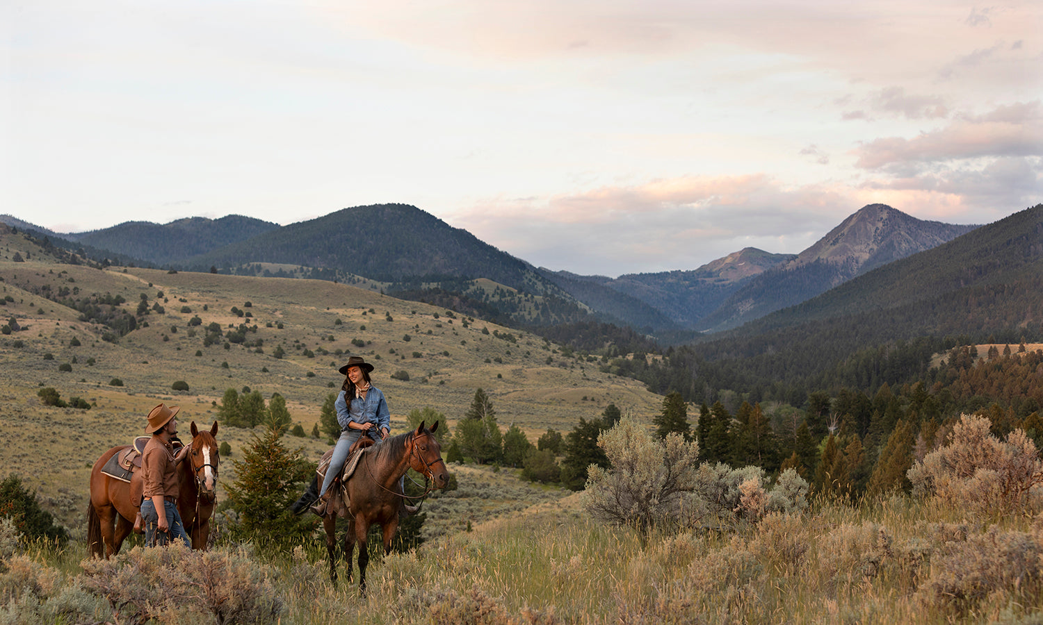 TRUE RANCH COLLECTION – True Ranch General Store