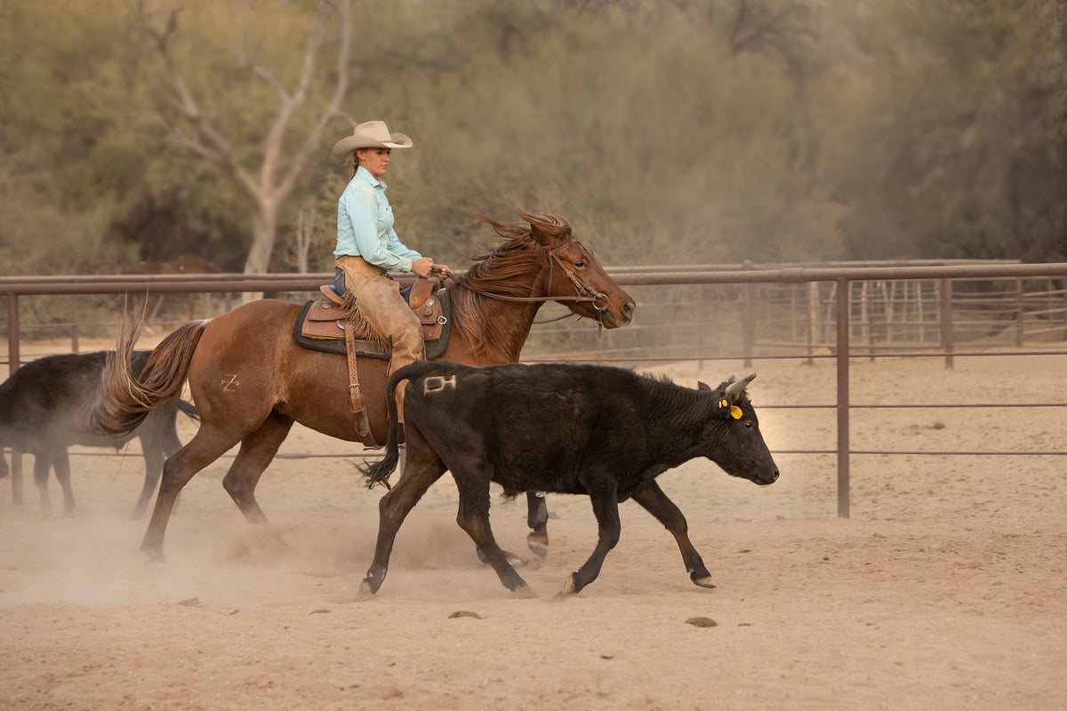 True Ranch Collection General Store – True Ranch General Store