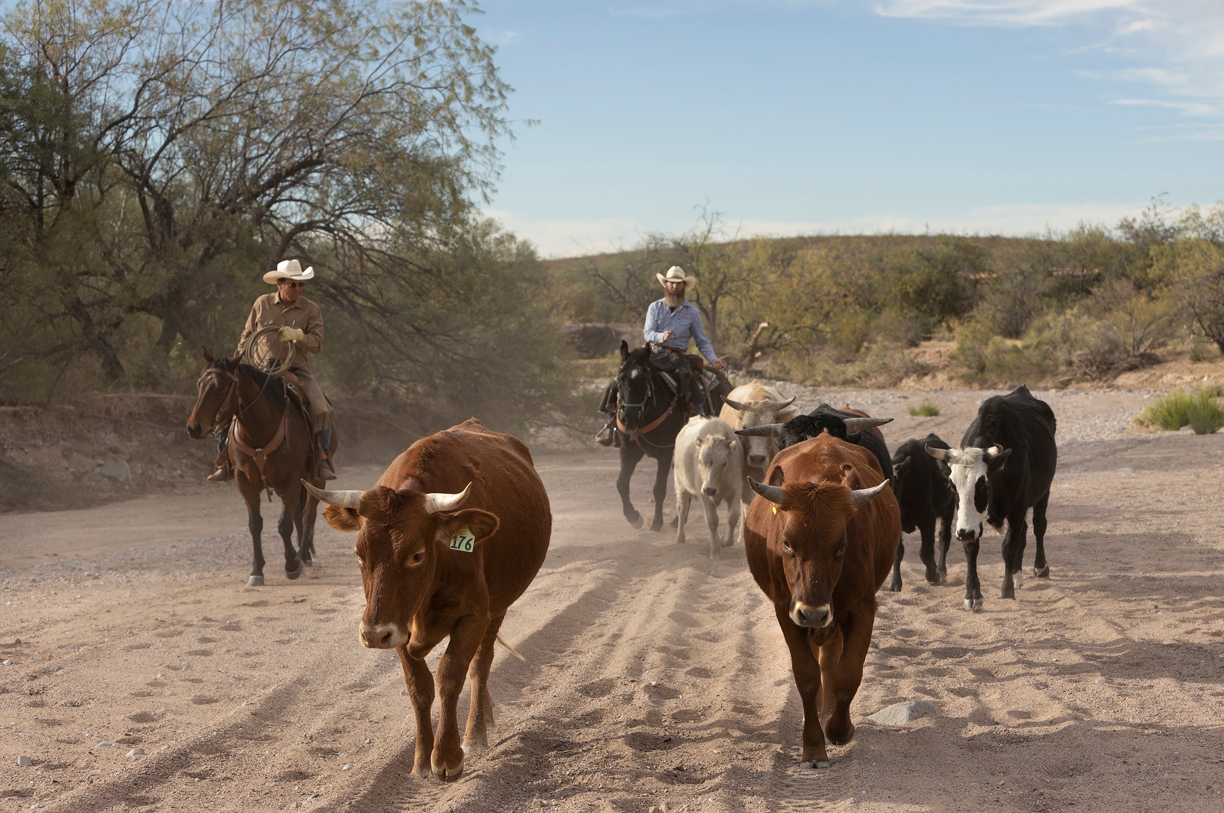 SHOP BY CATEGORY – True Ranch General Store